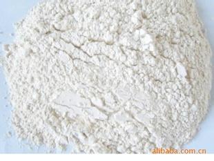 Dehydrated White Garlic Powder