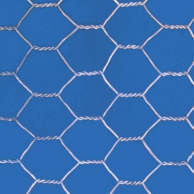 Hexagonal Wire Mesh/Low-Carbon Steel Wire