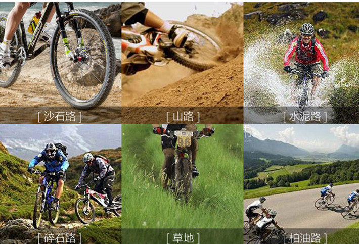 High Quality Carbon Steel Bike Cheap Mountain MTB Bike