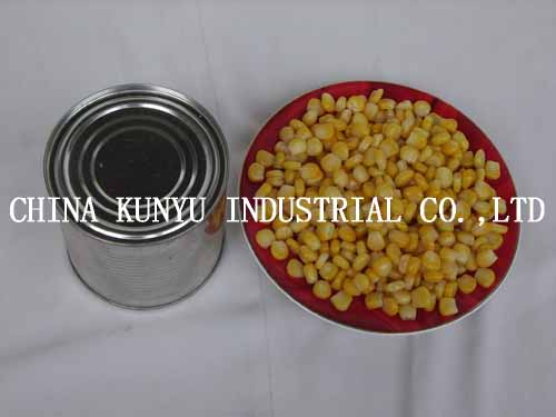 Canned Sweet Corn with High Quality