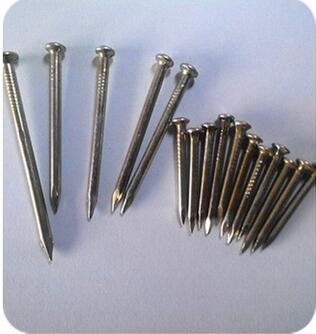 High Quality and Low Price Concrete Nails