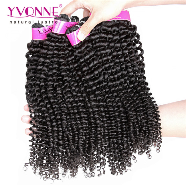 Top Quality Kinky Curly Virgin Brazilian Hair