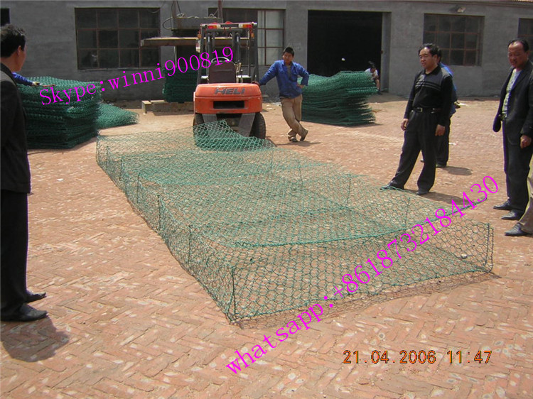 High Quality Hexagonal Wire Netting