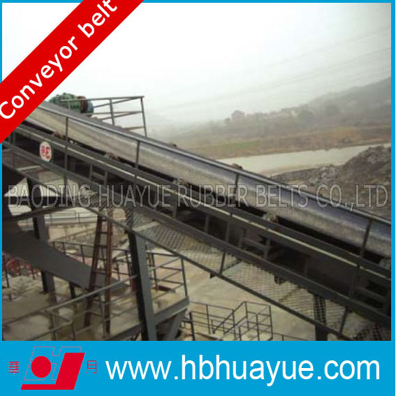 China Well-Known Trademark Huayue Industrial Conveyor Belt Strength 100-5400n/mm