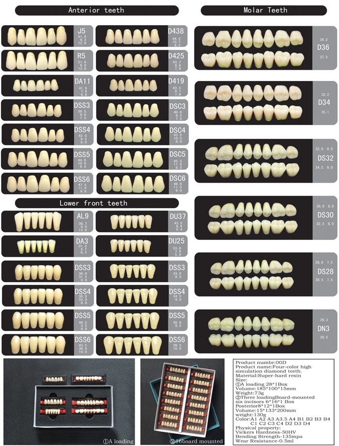 SA41 Four Layers Acrylic Resin Teeth