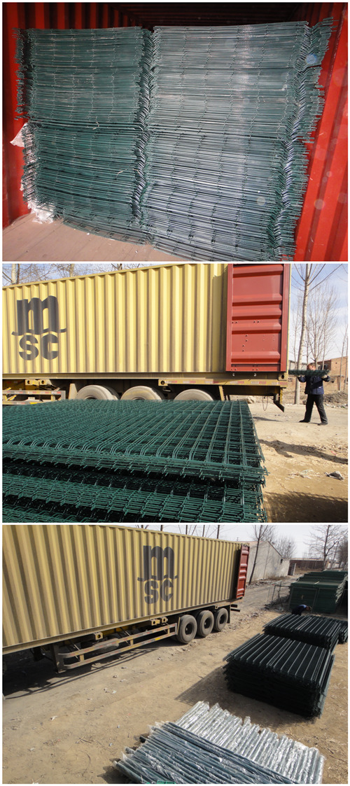 Moderate Price China Wholesale Metal Steel Wire Mesh Fence (WWMF)