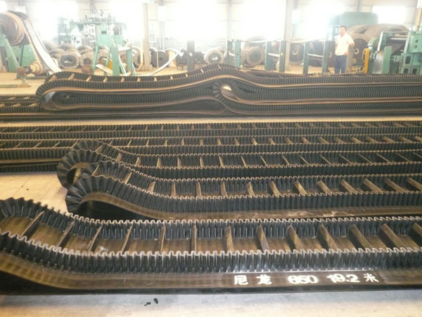 Raised Sidewall Conveyor Belt