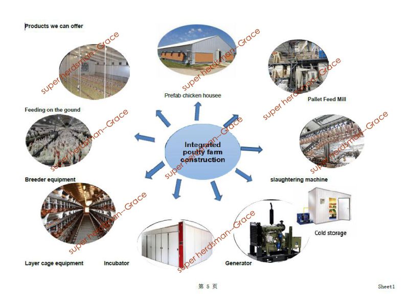 Prefabricated Poultry Farm House for modern Integrated Farm