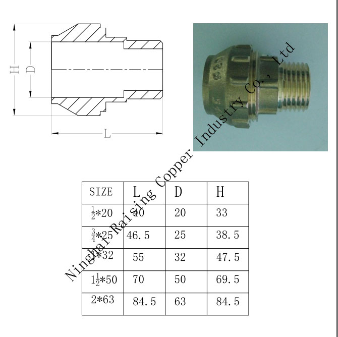 Brass Compression Male Adaptor