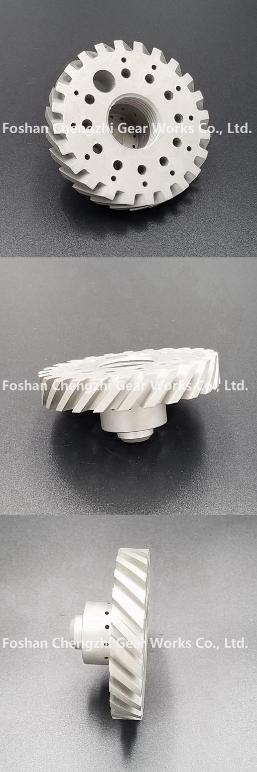 High Precision Customized Transmission Gear Nonstandard Gear for Various Machinery