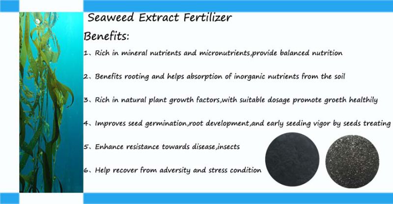 Water Soluble Fertilizer Bio Alga Seaweed