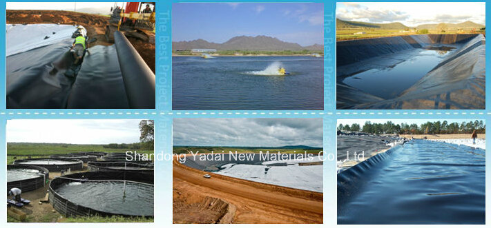 HDPE Impermeable Black Industrial Pond Liner Geomembrane Price