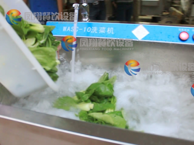 High Efficency Ozone Vegetable Washing Machine for School DIN