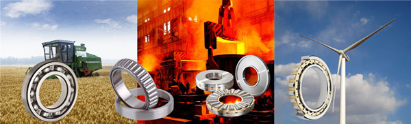 Industrial Machine Spare 2300 Series Self-Aligning Ball Bearing