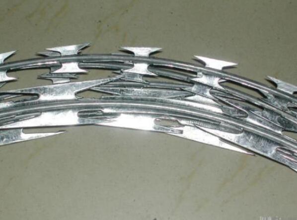 Good Price for Galvanized Razor Barbed Wire