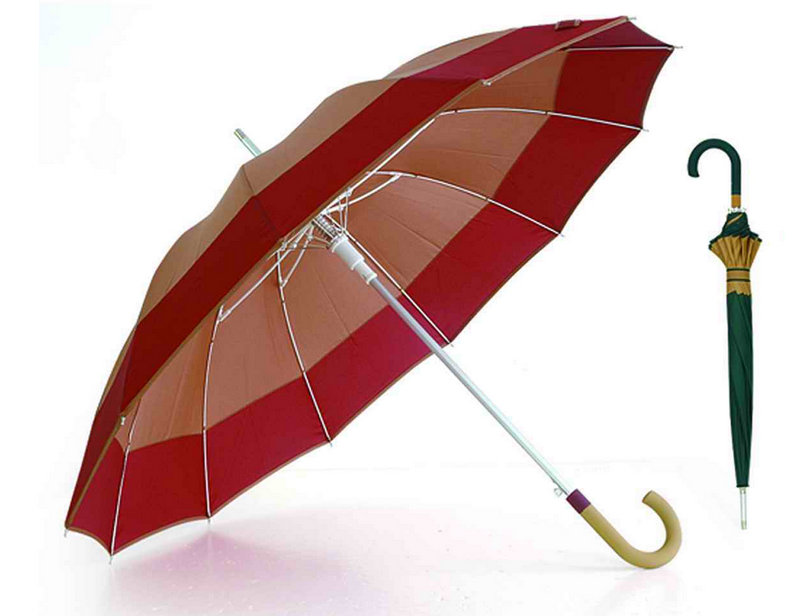 12 Ribs Windproof Fiberglass Wooden Shaft Border Umbrella (YS-SM25123517R)