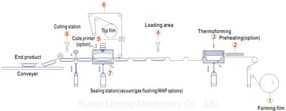 Dry Fish Thermoforming Vacuum Packaging Machine