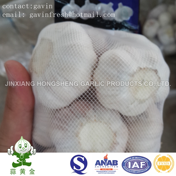 Fresh Normal White Garlic Packed in 10kgs Mesh Bag