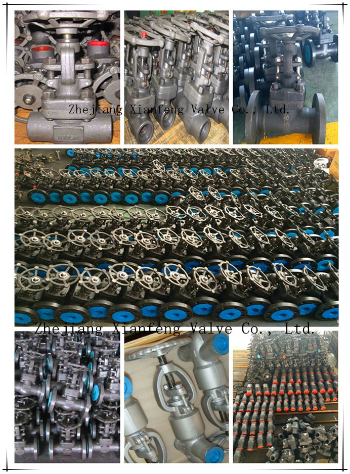 Forged Carbon Steel A105 Dbb Ball Valve (DOUBLE BLOCK&BLEED VALVE)