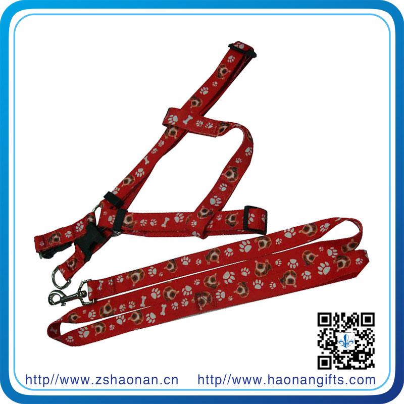 Custom Colorful Logo Dog Leash for Outdoor Dog