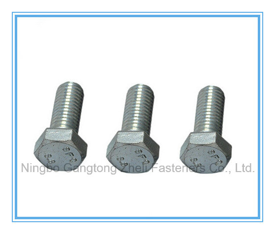 M5-M45 of Hexagon Head Bolts with Carbon Steel