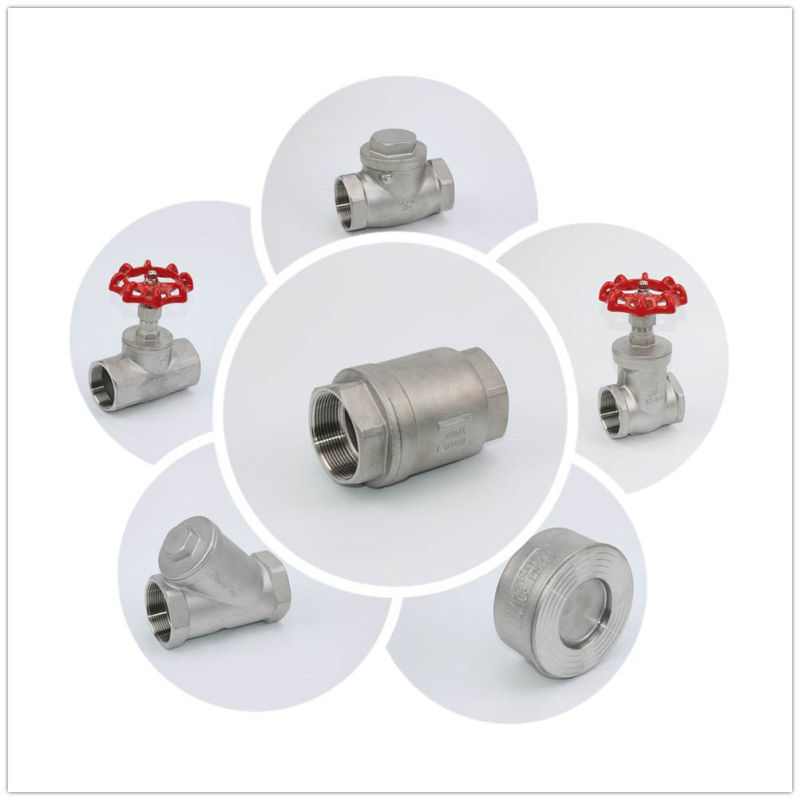 H12 Stainless Steel Vertical Check Valve