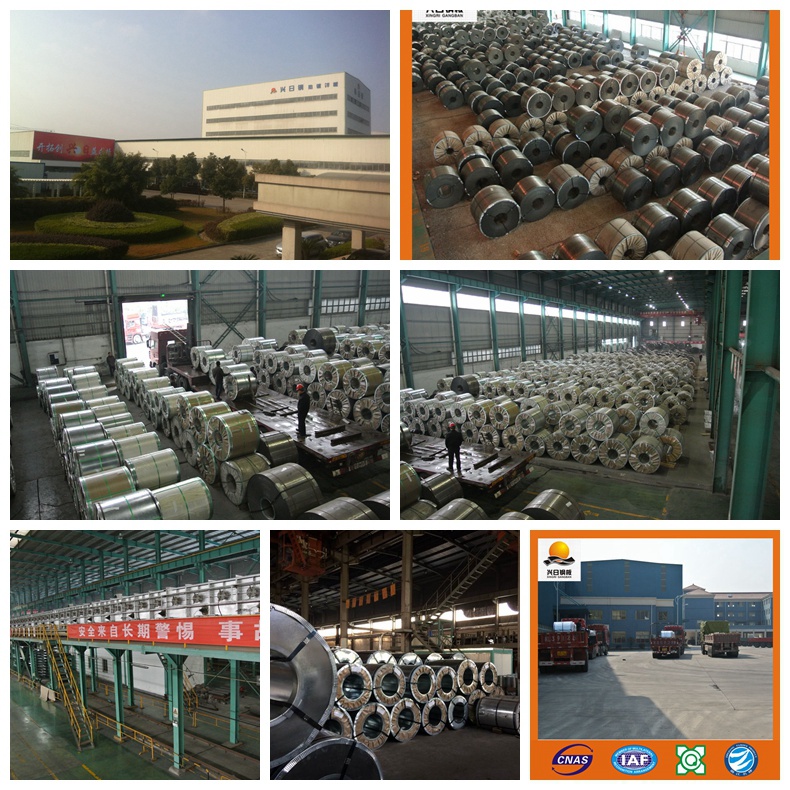 Factory Price of Gi Coil, Hot Dipped Galvanzied Steel Coil/Sheet Price, Sgch, Shcc, Roofing Sheet