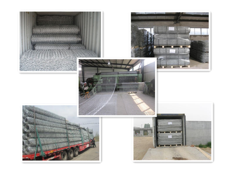 Gabion (60X80, 80X100, 80X120, 100X120mm)