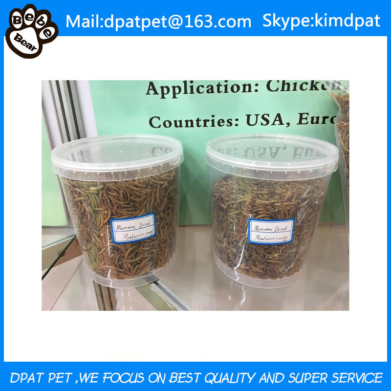 Dried Mealworm for Bird Feed Chicken Reptile Food