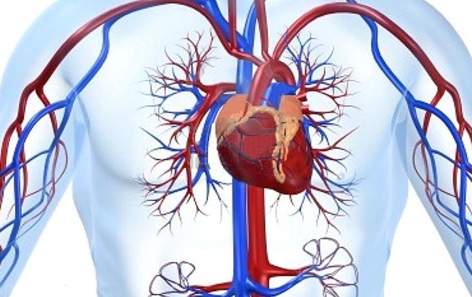 (L-Threonine) --Feed Nutrition Enhancer L-Threonine