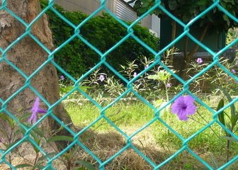 Chain Link Fence of Different Surface