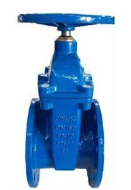 DIN Standard Cast Iron Gate Valve (Z41F)