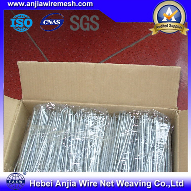 Black Soft Light Annealed Iron Wire for Building Materials with SGS