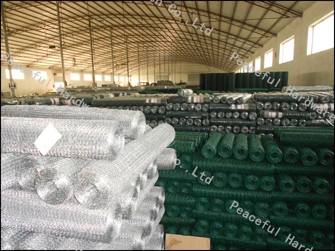 PVC Coated Chicken Wire Fence (R-LJW)