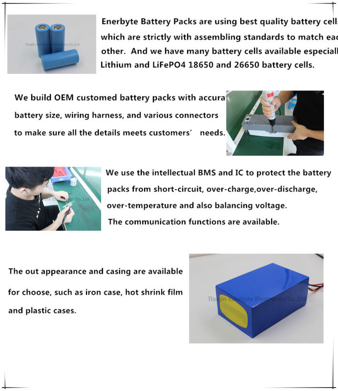 E-Motor/ Scooter LiFePO4 Battery Pack 60V 20ah