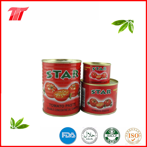 Star Brand Tomato Paste with Low Price