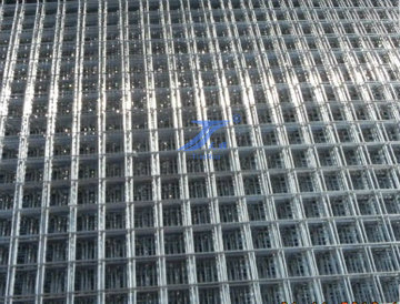 Galvanized Welded Wire Mesh (TS-L12)