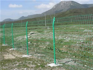 High Quality PVC Bilateral Welded Wire Fence