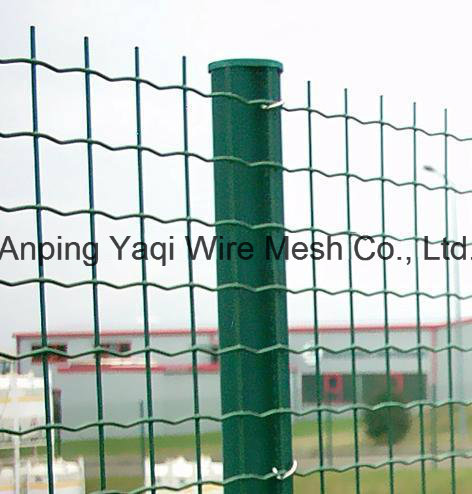 Anping Factory Euro Wire Mesh Fence PVC Coated Hot DIP Galvanized Cheap