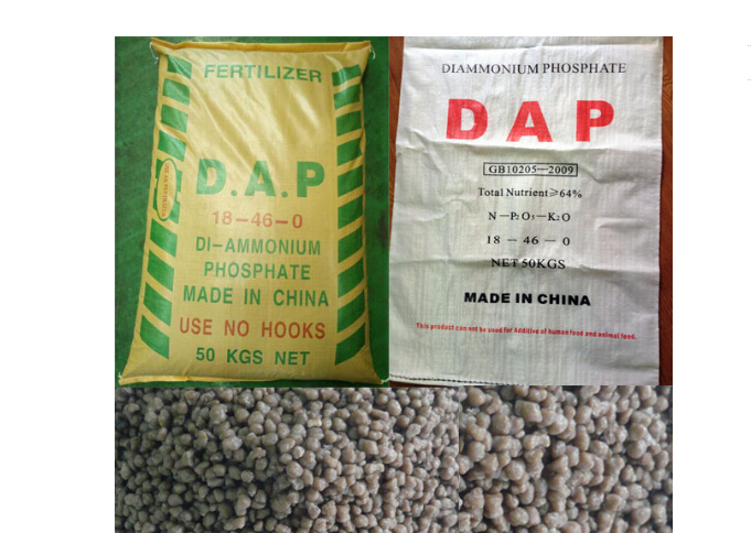 Diammonium Phosphate (DAP 18-46-0) with SGS Certificate on Quality