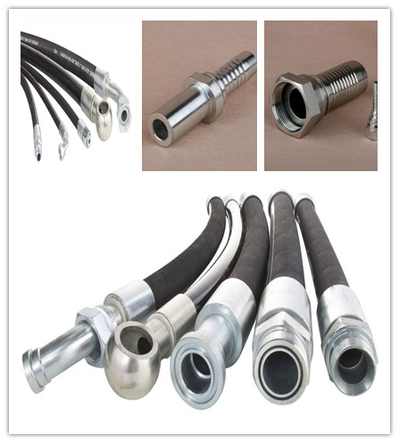 1t-Sp BSPT Male Hydraulic Hose Fittings