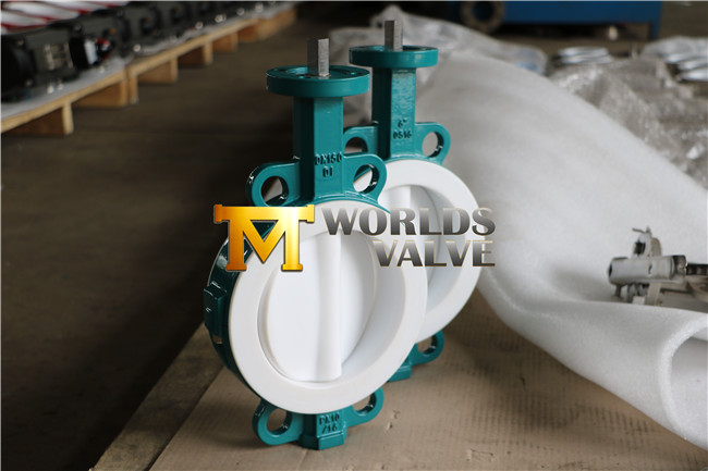 ANSI Ci Split Body PTFE Seated Wafer Butterfly Valve