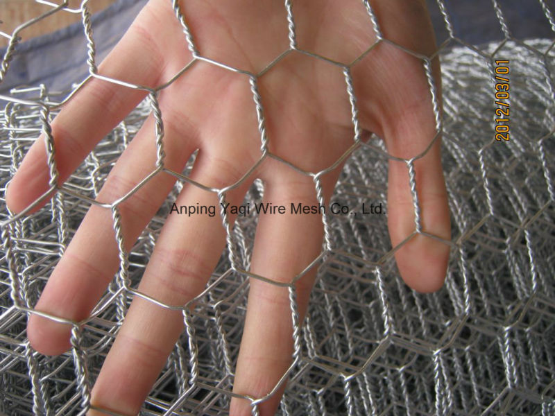 Anping Factory Galvanized Hexagonal Wire Netting with Lower Price