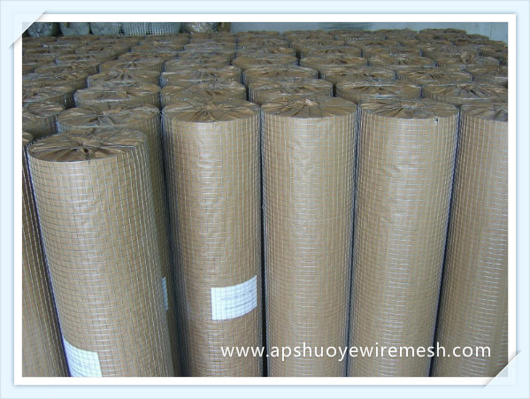 Galvanized Welded Wire Mesh-100' in Roll