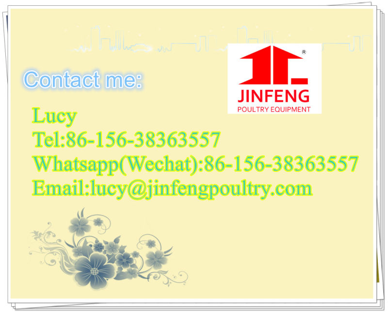 Automatic/Semi-Automatic Poultry Chicken Cage for Bird Farm