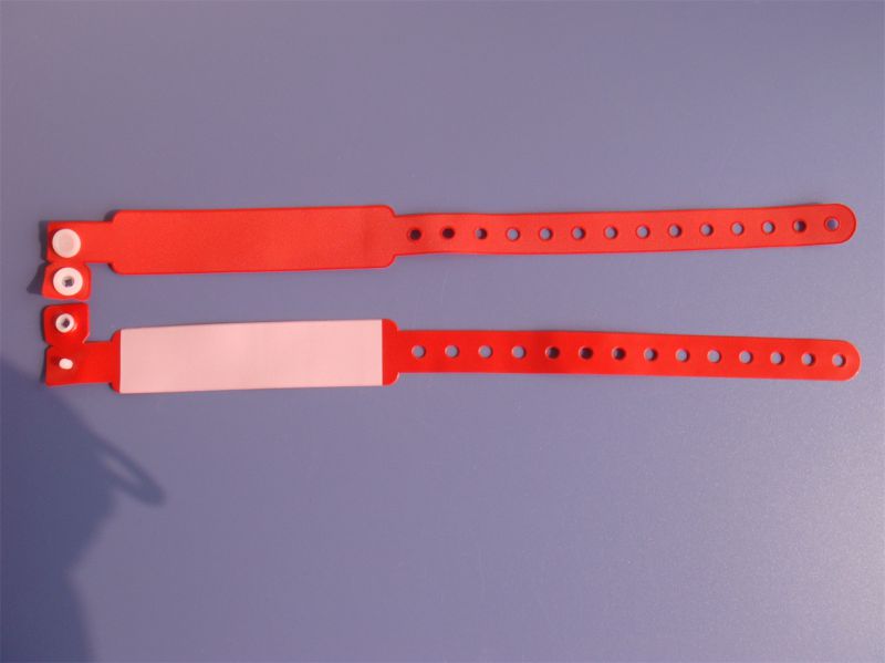 Identification Bracelet Adult