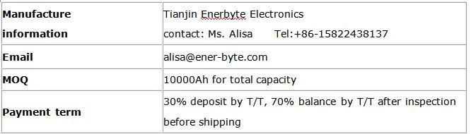 OEM Lithium Ion LiFePO4 Battery Pack 12V 100ah