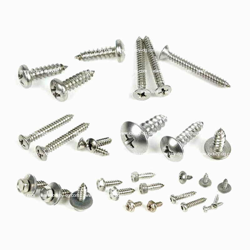 Stainless Steel Self Tapping Screw