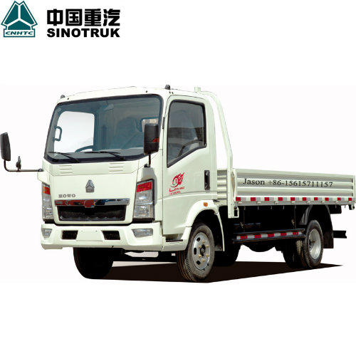 HOWO Light Truck 4X2 84PS 3t 12FT Cargo Truck