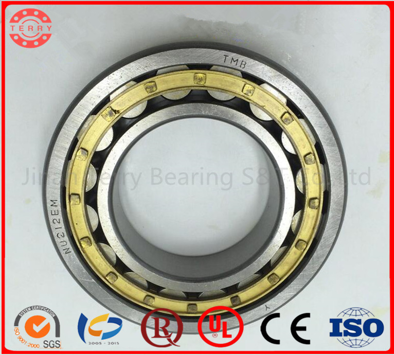 The High Quality Low Noise Cylindrical Roller Bearings (NN3006)